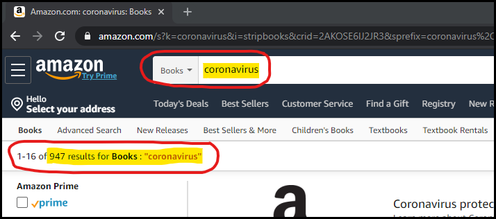 Coronavirus book search on Amazon